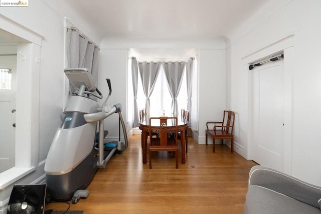 dining room with light hardwood / wood-style floors