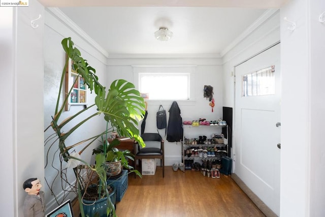 interior space featuring ornamental molding and hardwood / wood-style flooring