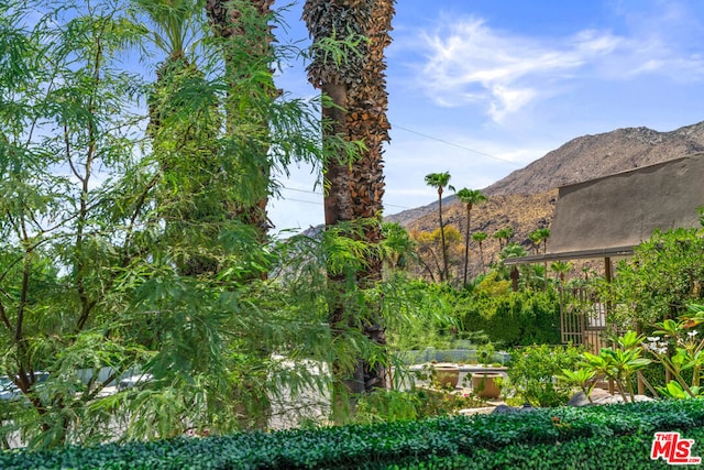 view of yard featuring a mountain view