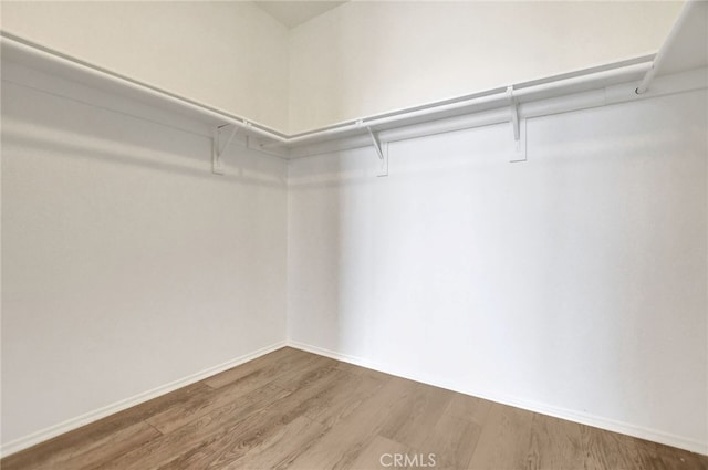 spacious closet with hardwood / wood-style floors