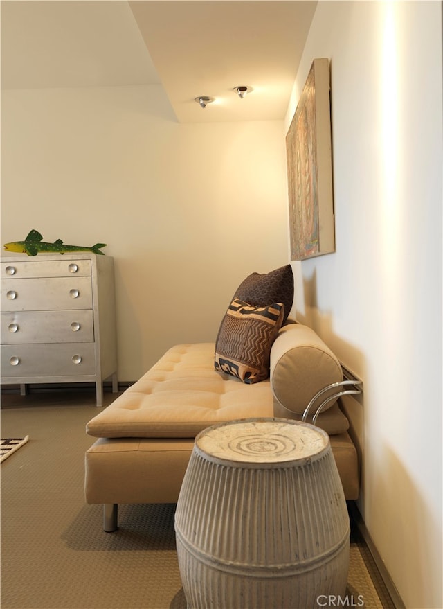 sitting room with dark colored carpet