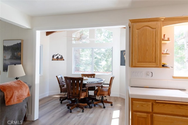 dining area with a wealth of natural light and light wood-type flooring