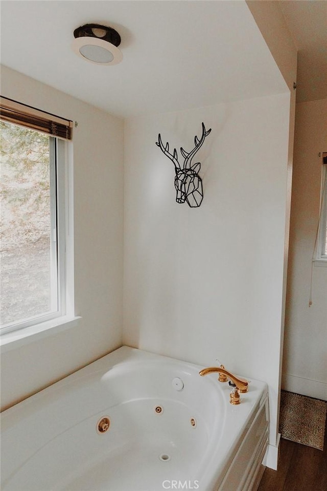 bathroom with a tub and hardwood / wood-style flooring