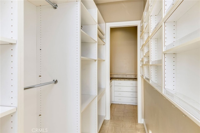 view of walk in closet