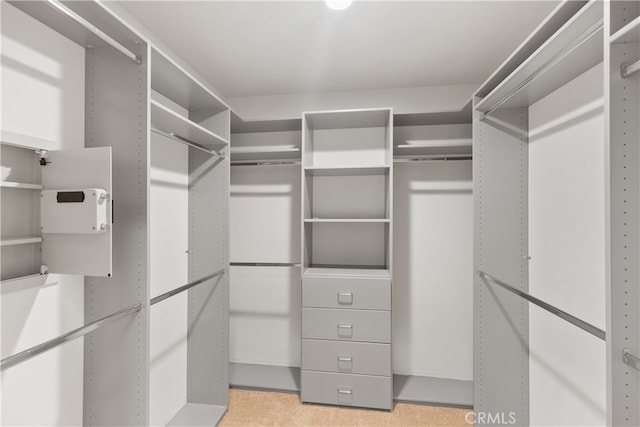 walk in closet with light carpet