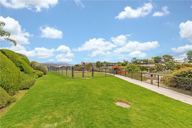 view of yard with a rural view