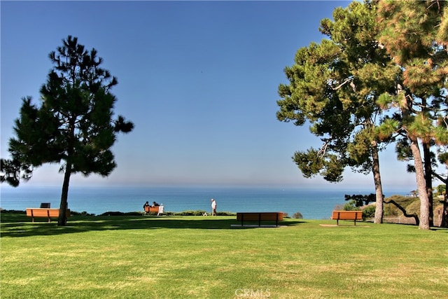 view of community with a water view and a lawn