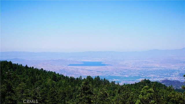 24387 Rocky Point Rd, Idyllwild, CA 92549 - photo 5