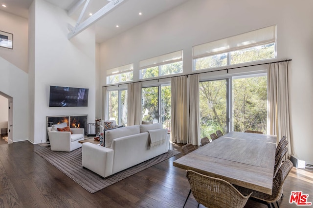 living room featuring a high ceiling and dark hardwood / wood-style flooring