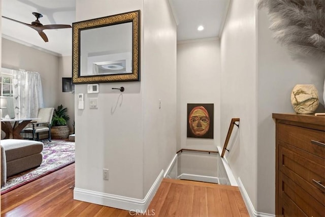 hallway featuring hardwood / wood-style flooring and ornamental molding