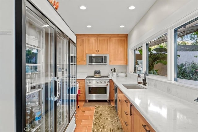 kitchen with light stone countertops, premium appliances, and sink