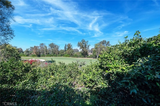 4641 N Virginia Rd, Long Beach, CA 90807 - photo 50