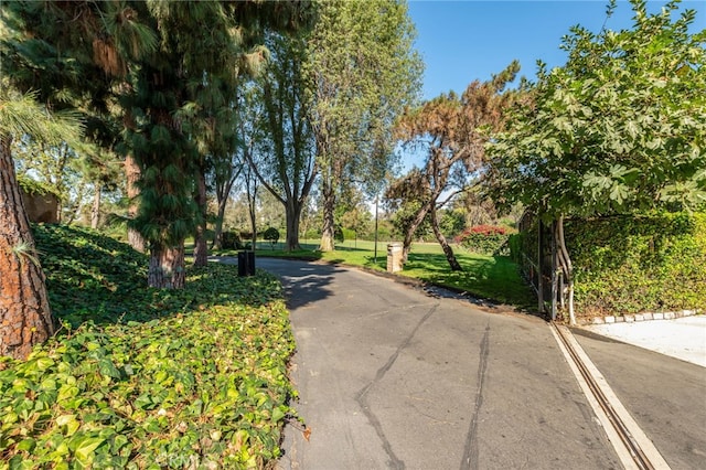 4641 N Virginia Rd, Long Beach, CA 90807 - photo 5