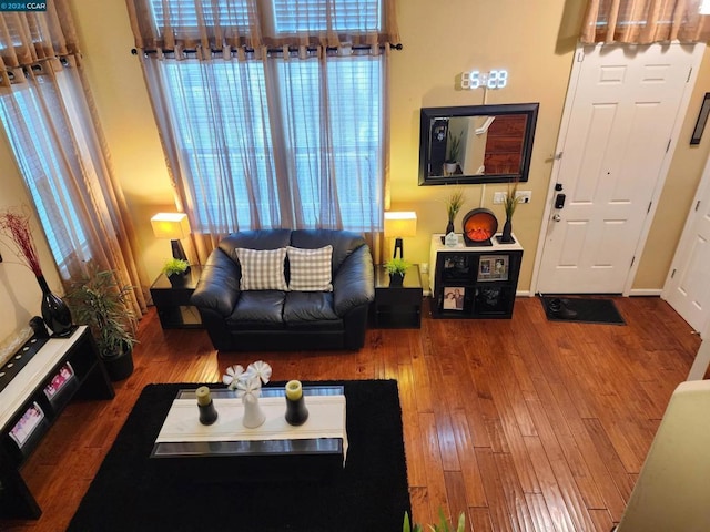 living room featuring hardwood / wood-style flooring