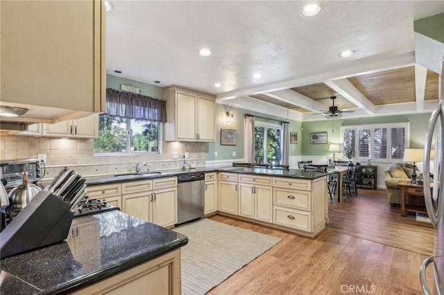 kitchen featuring stainless steel dishwasher, light hardwood / wood-style flooring, kitchen peninsula, and a healthy amount of sunlight