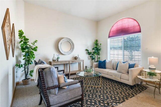 living room featuring carpet