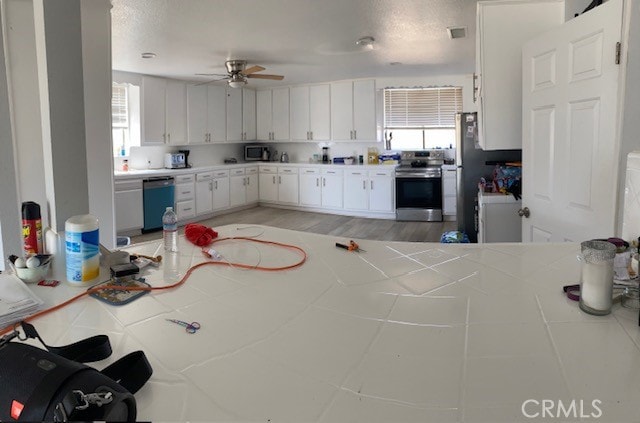 kitchen featuring white cabinetry, a healthy amount of sunlight, stainless steel appliances, and ceiling fan