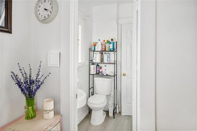 bathroom featuring toilet and wood-type flooring