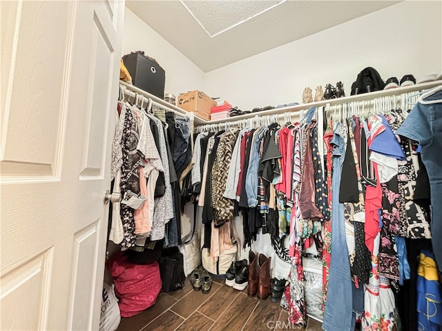 spacious closet with dark hardwood / wood-style floors