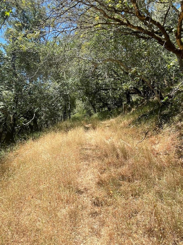 Listing photo 2 for 0 Crystal Springs Rd, Hillsborough CA 94010