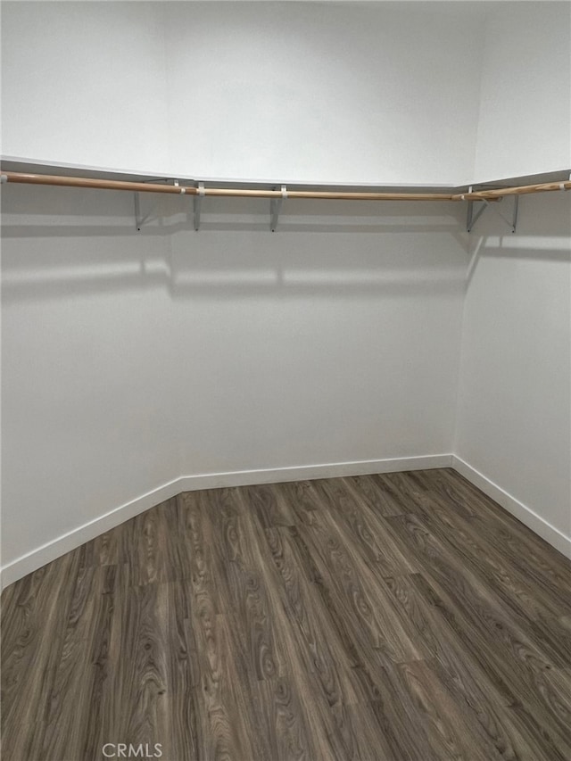 walk in closet with dark hardwood / wood-style flooring