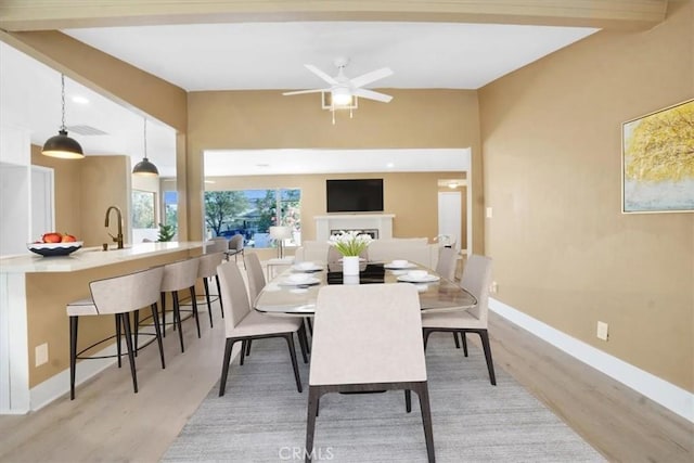 dining space featuring ceiling fan, light hardwood / wood-style floors, and sink