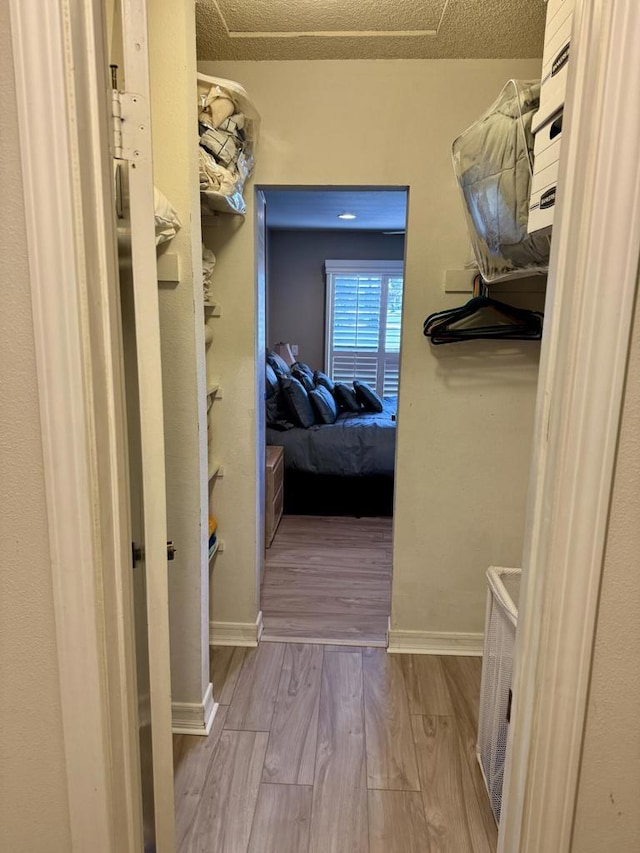 spacious closet with light hardwood / wood-style flooring