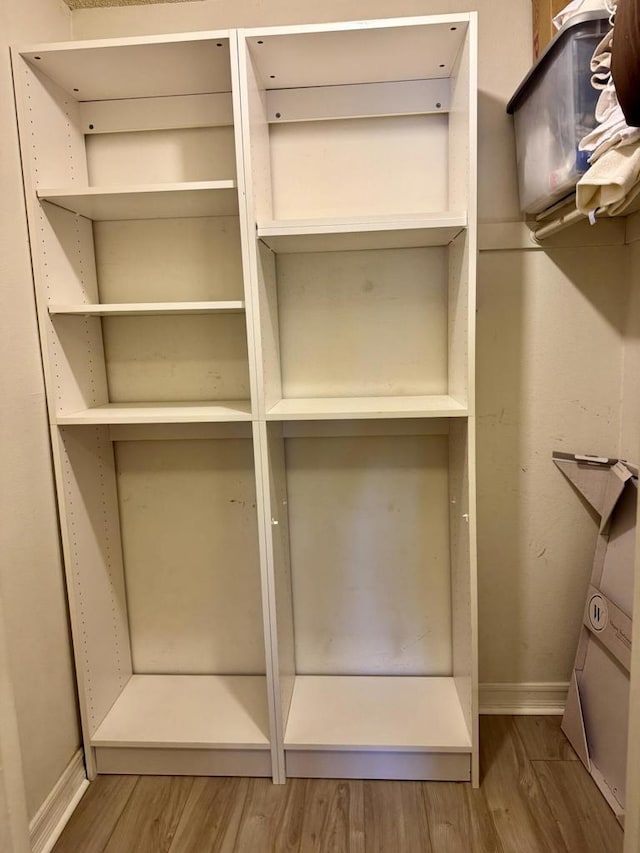 walk in closet with wood-type flooring