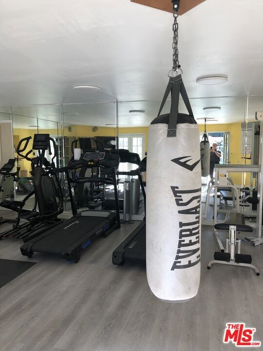 gym with wood-type flooring and a healthy amount of sunlight