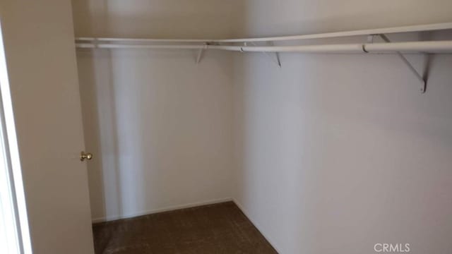 walk in closet with dark colored carpet