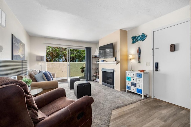 carpeted living room with a textured ceiling