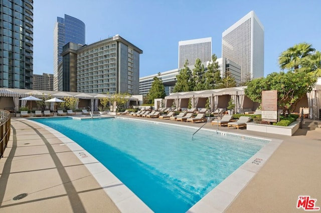 view of swimming pool featuring a patio