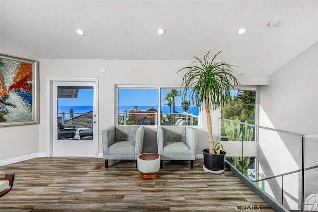 sitting room featuring hardwood / wood-style flooring