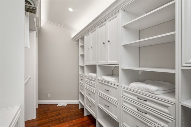 spacious closet featuring dark hardwood / wood-style floors