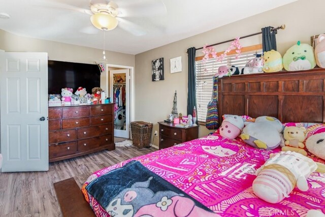 bedroom featuring a closet, light hardwood / wood-style floors, a walk in closet, and ceiling fan