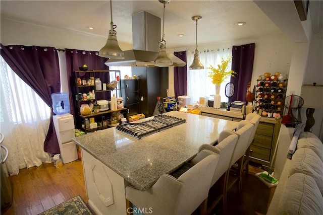 kitchen featuring decorative light fixtures, light hardwood / wood-style floors, a healthy amount of sunlight, and island exhaust hood