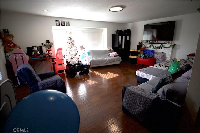 living room featuring dark hardwood / wood-style floors