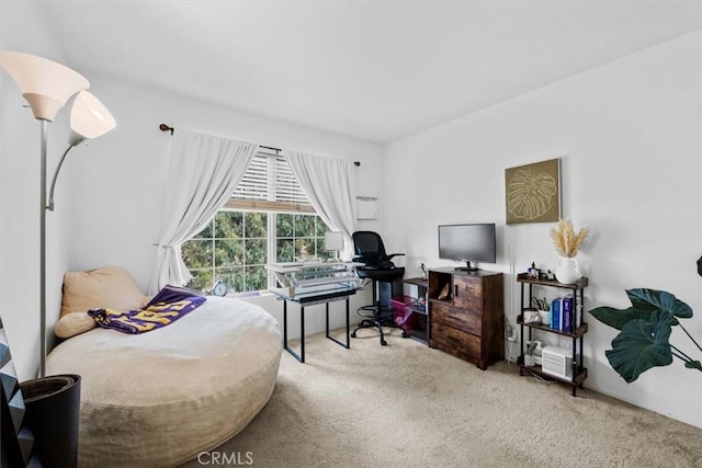 bedroom featuring carpet floors