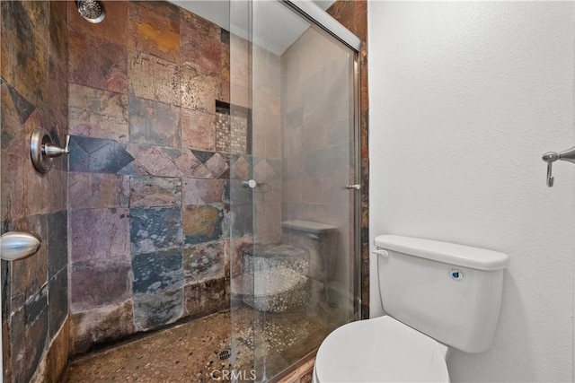 bathroom featuring toilet and a shower with door