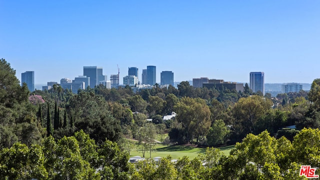 property's view of city