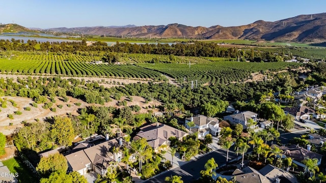 bird's eye view featuring a mountain view and a rural view