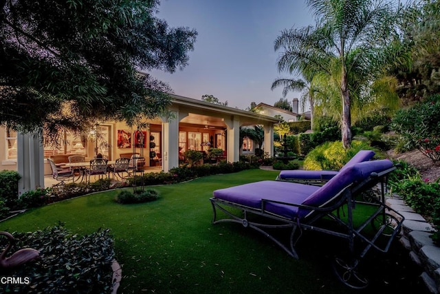 back house at dusk featuring a lawn and a patio