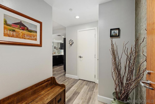 entryway with light wood-type flooring and sink