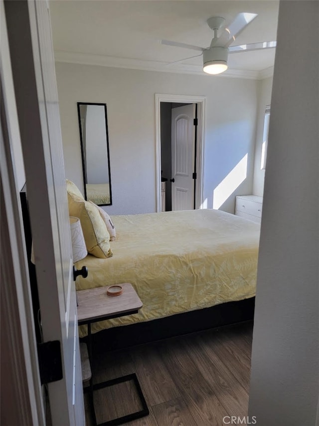 bedroom with dark hardwood / wood-style flooring, ornamental molding, and ceiling fan