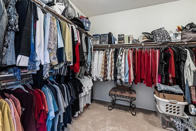 spacious closet with carpet