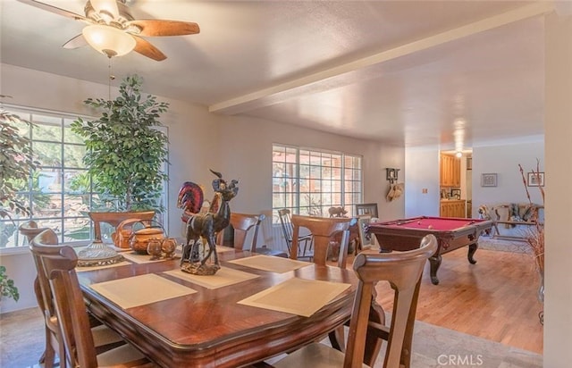 dining area with ceiling fan, plenty of natural light, light hardwood / wood-style floors, and pool table