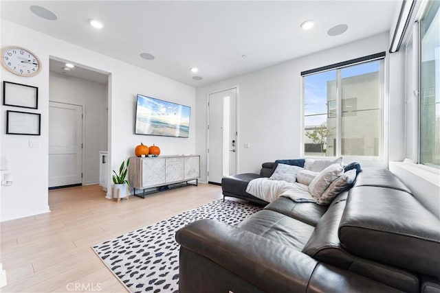 living room with light hardwood / wood-style flooring