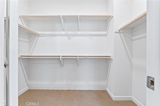 spacious closet with light colored carpet