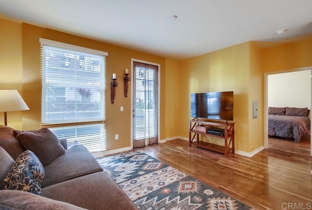 living room with hardwood / wood-style floors