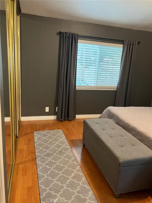 bedroom featuring wood-type flooring